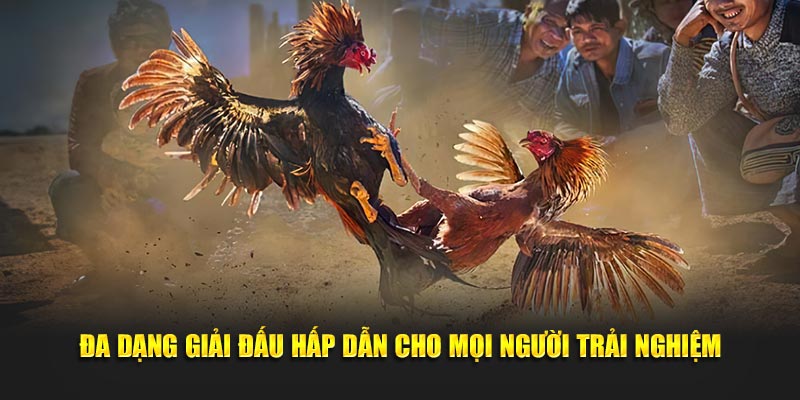 Đa dạng giải đấu hấp dẫn cho mọi người trải nghiệm
