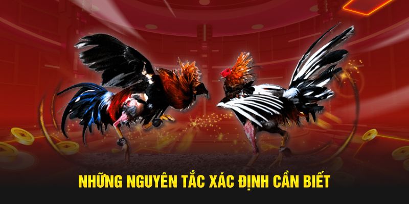 Những nguyên tắc xác định cần biết
